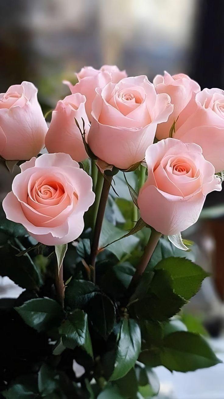 Sunrise Serenade: Radiant Blooms Collection